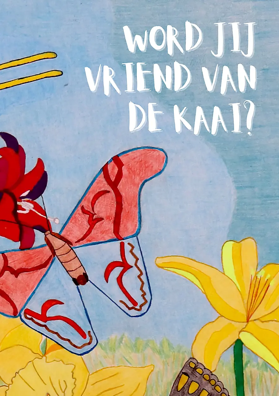 Vrienden van de Kaai Vrienden van de Kaai
